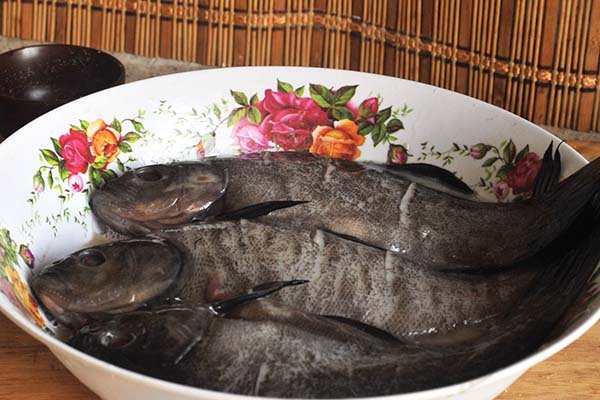 Лінь порційний в клярі