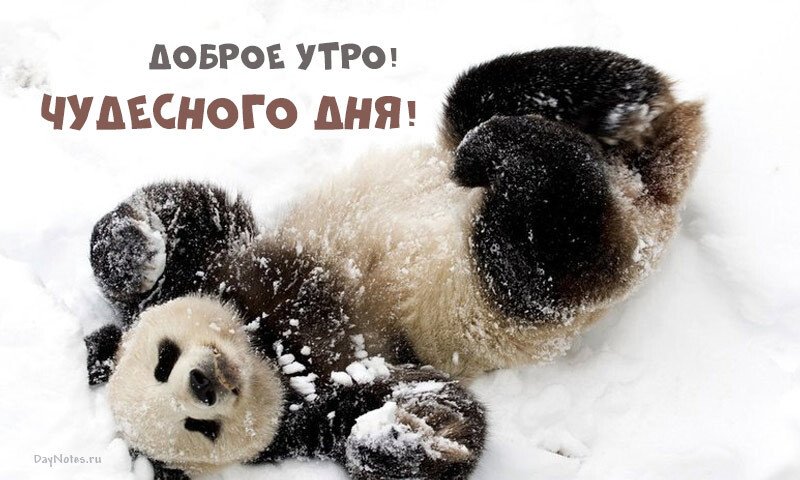 Листівки з першим снігом — красиві і прикольні Листівки з першим снігом — красиві і прикольні