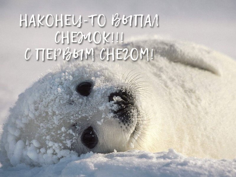 Листівки з першим снігом — красиві і прикольні Листівки з першим снігом — красиві і прикольні