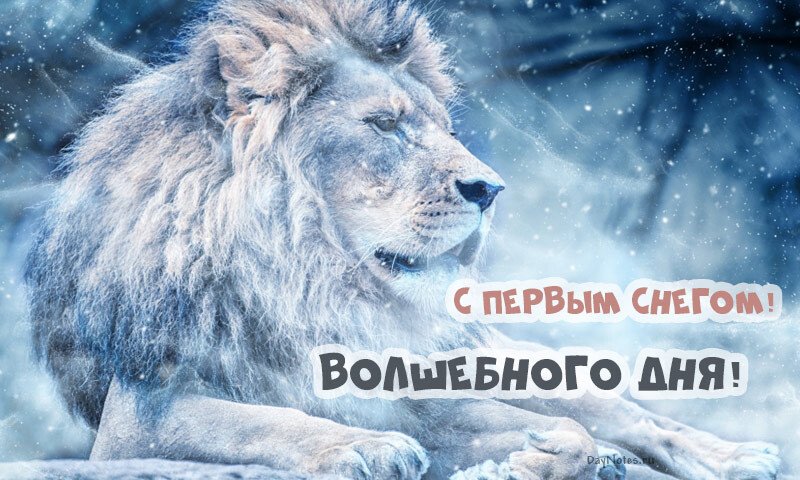 Листівки з першим снігом — красиві і прикольні Листівки з першим снігом — красиві і прикольні