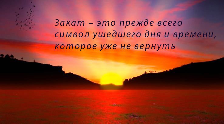 Цитати про життя під фото в Instagram   зі змістом, короткі
