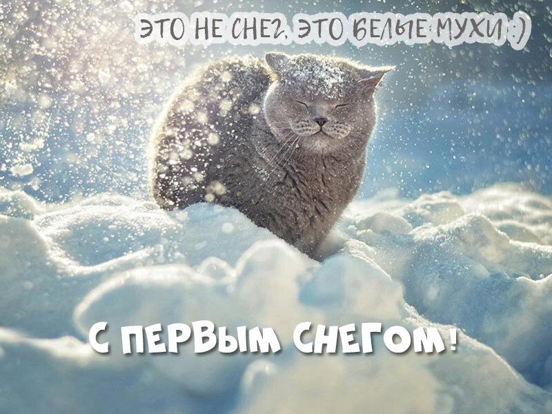 Листівки з першим снігом — красиві і прикольні Листівки з першим снігом — красиві і прикольні