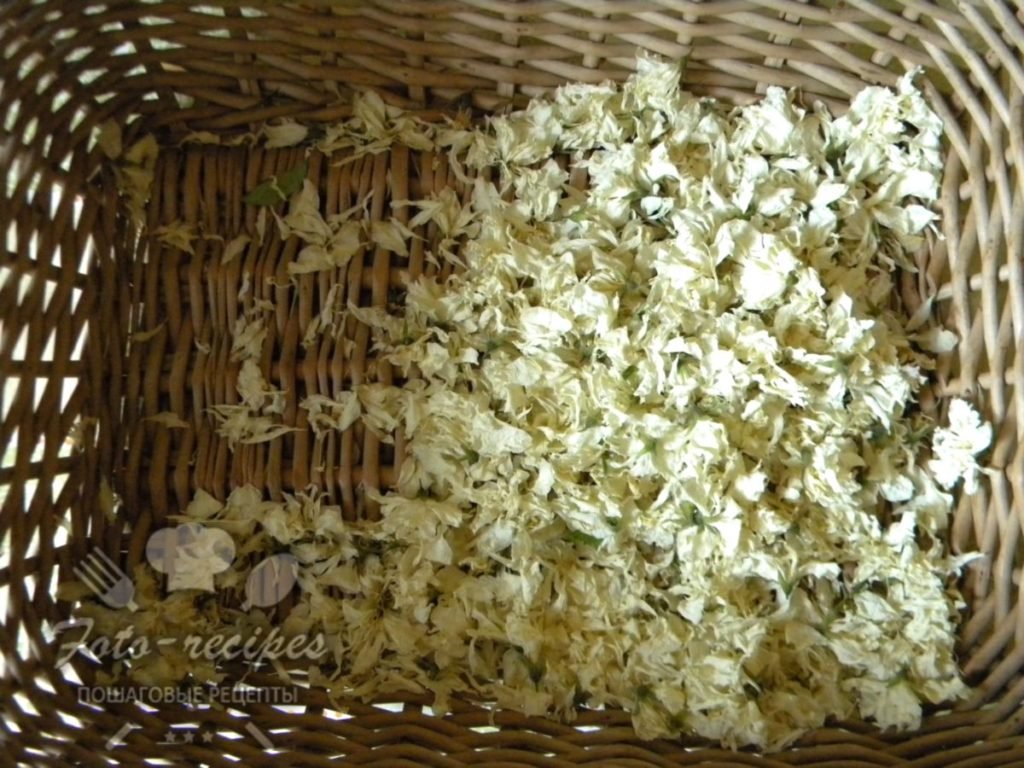 Як сушити жасмин для чаю в домашніх умовах