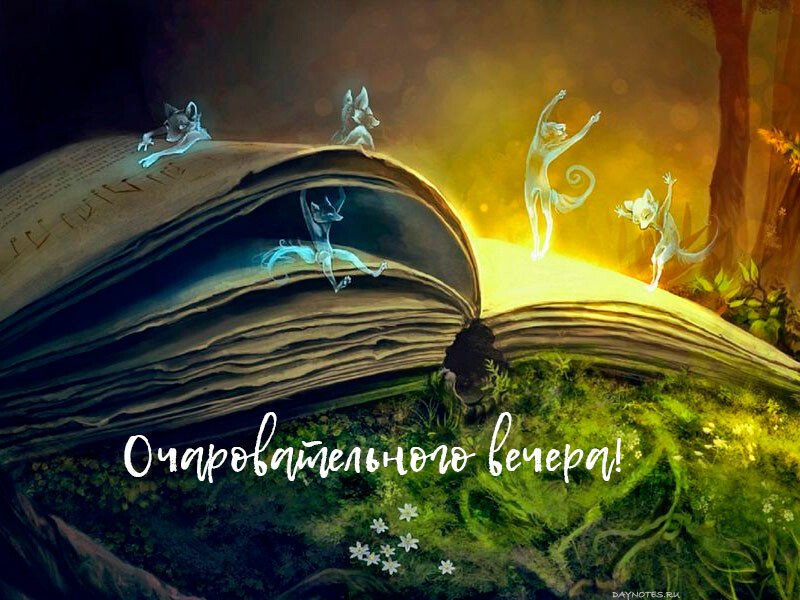 Картинки доброго вечора і настрою — прикольні листівки з написами