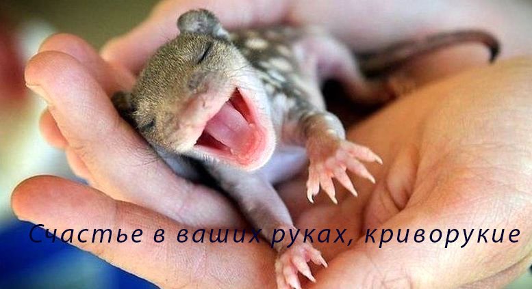Цитати про життя під фото в Instagram   зі змістом, короткі