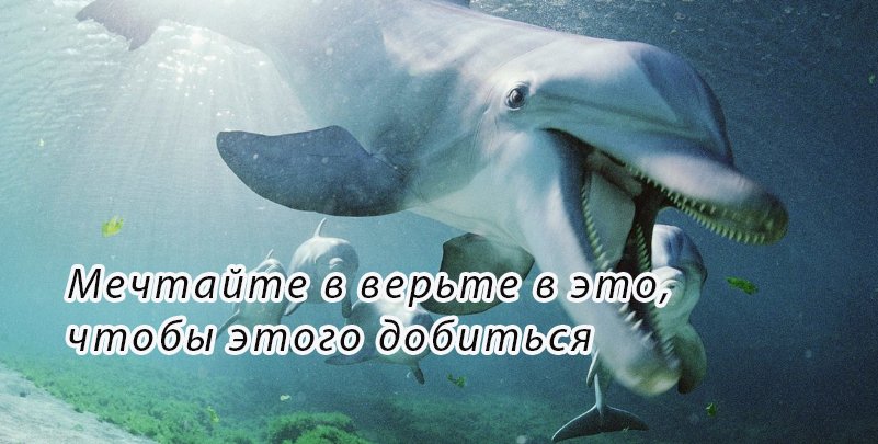 Підпис до фото в Instagram про море   як підписати фото з пляжу