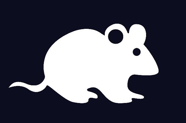 Щур (миша) своїми руками — символ 2020 року з різних матеріалів (схеми і викрійки) Щур (миша) своїми руками — символ 2020 року з різних матеріалів (схеми і викрійки)