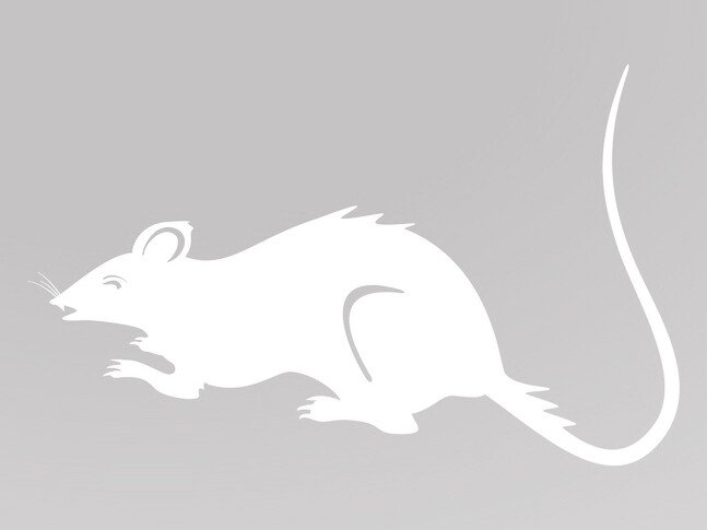 Трафарети на вікна до нового року 2020 для вирізання з паперу