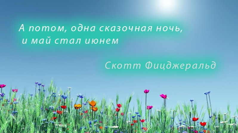 Підпис до фото в Instagram про літо   готові тексти, фрази