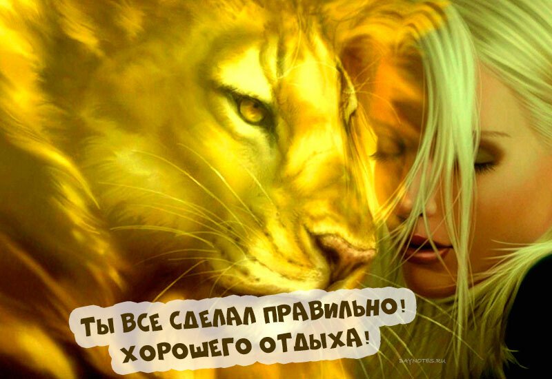 Картинки доброго вечора і настрою — прикольні листівки з написами