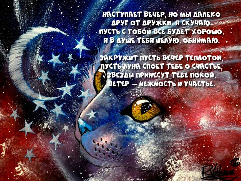 Картинки доброго вечора і настрою — прикольні листівки з написами