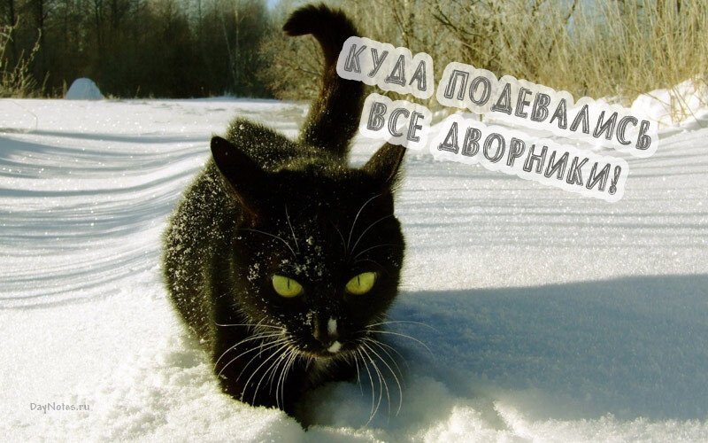 Листівки з першим снігом — красиві і прикольні Листівки з першим снігом — красиві і прикольні