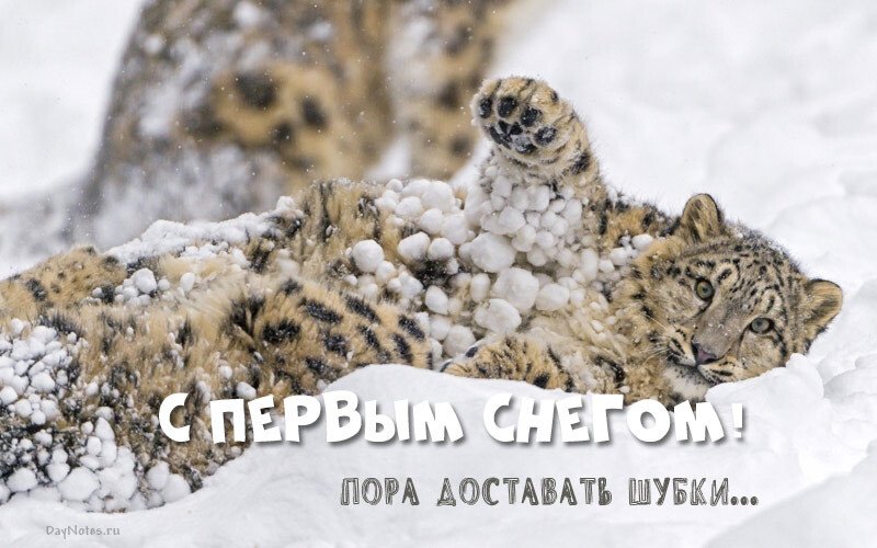 Листівки з першим снігом — красиві і прикольні Листівки з першим снігом — красиві і прикольні