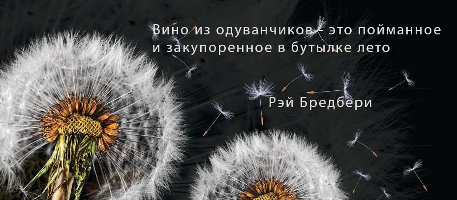 Підпис до фото в Instagram про літо   готові тексти, фрази