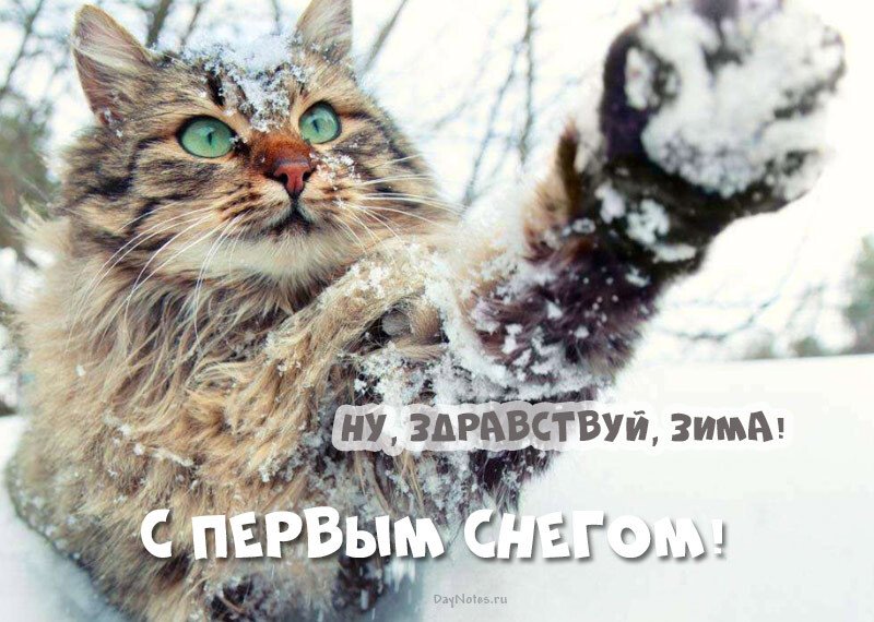 Листівки з першим снігом — красиві і прикольні Листівки з першим снігом — красиві і прикольні