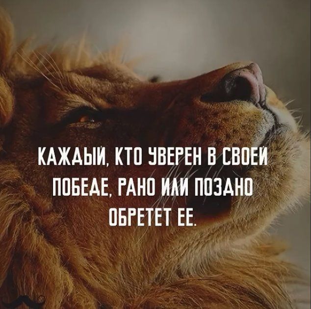 Цитати зі змістом в Instagram під фото