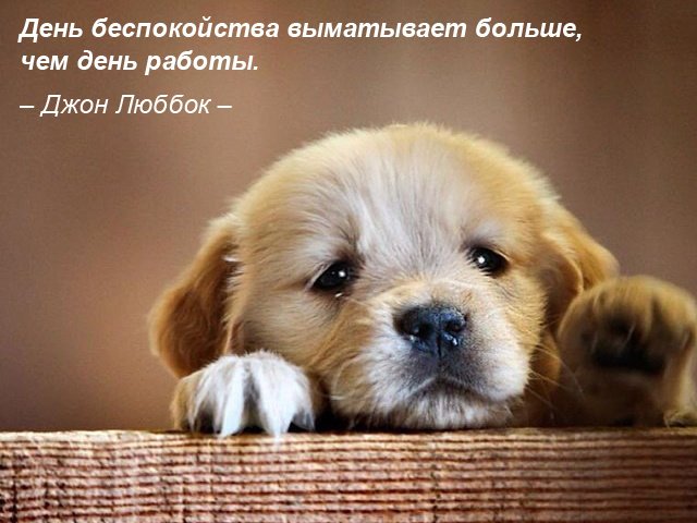 Мотивуючі картинки: доброго ранку, для досягнення мети, на робочий стіл, на телефон