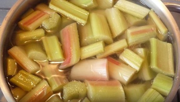Ревінь   користь для організму, плюси і мінуси продукту, а також смачні рецепти