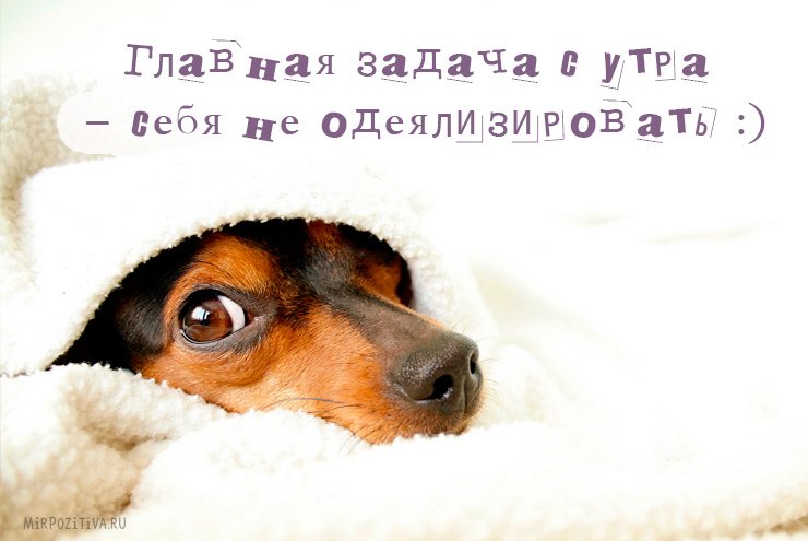 Мотивуючі картинки: доброго ранку, для досягнення мети, на робочий стіл, на телефон