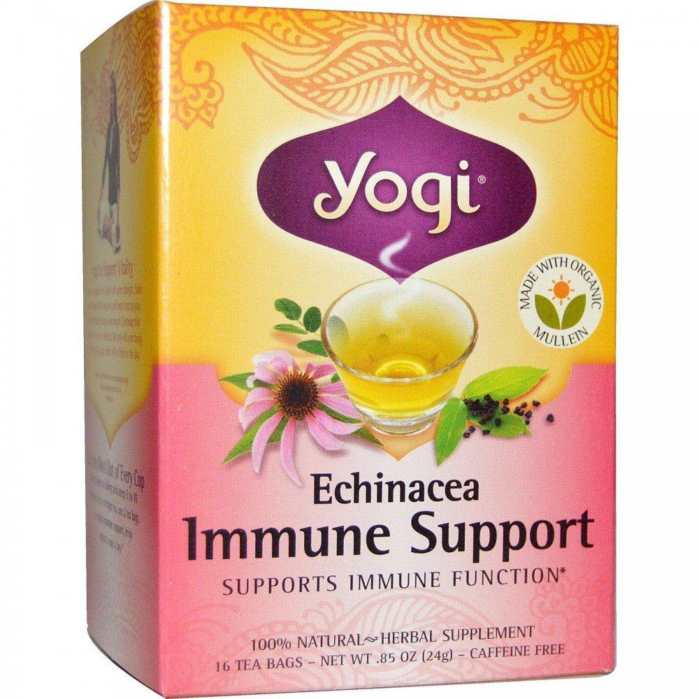 Топ 7 кращих добавок з ехінацеєю з iHerb