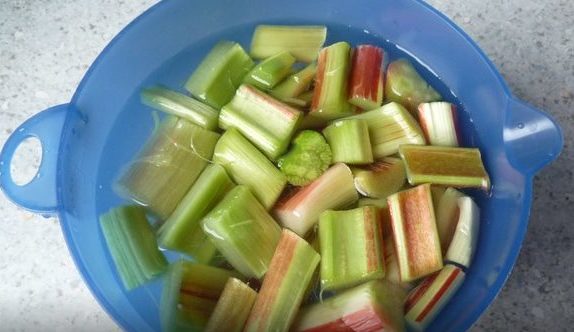 Ревінь   користь для організму, плюси і мінуси продукту, а також смачні рецепти