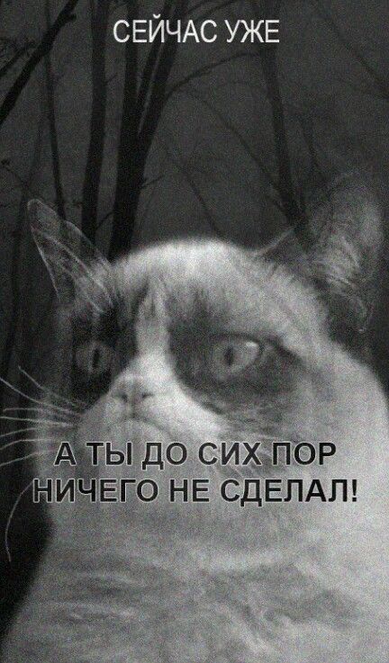Мотивуючі картинки: доброго ранку, для досягнення мети, на робочий стіл, на телефон