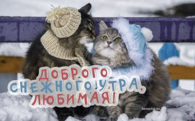 Листівки з добрим зимовим ранком, які можна скачати безкоштовно