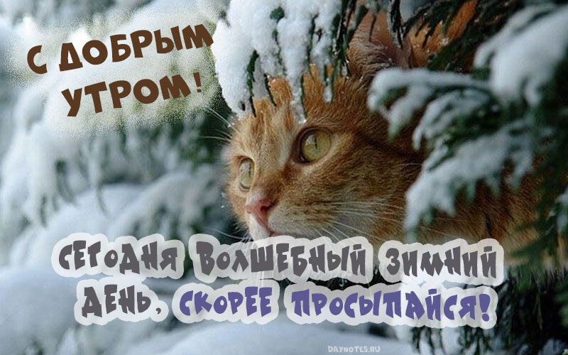 Листівки з добрим зимовим ранком, які можна скачати безкоштовно