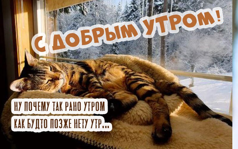 Листівки з добрим зимовим ранком, які можна скачати безкоштовно