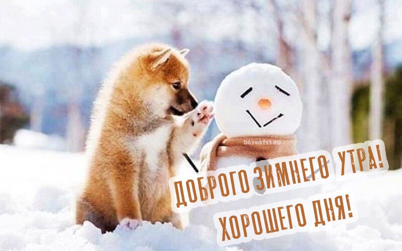 Листівки з добрим зимовим ранком, які можна скачати безкоштовно