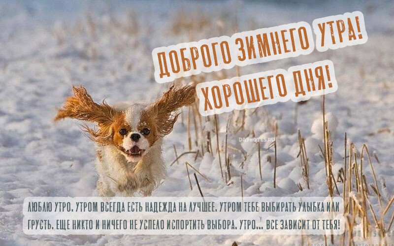 Листівки з добрим зимовим ранком, які можна скачати безкоштовно