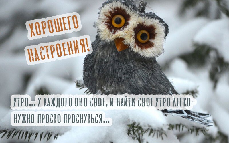 Листівки з добрим зимовим ранком, які можна скачати безкоштовно