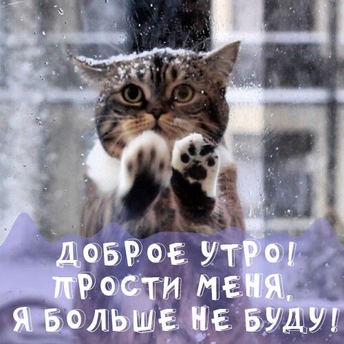 Листівки з добрим зимовим ранком, які можна скачати безкоштовно