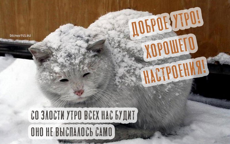 Листівки з добрим зимовим ранком, які можна скачати безкоштовно