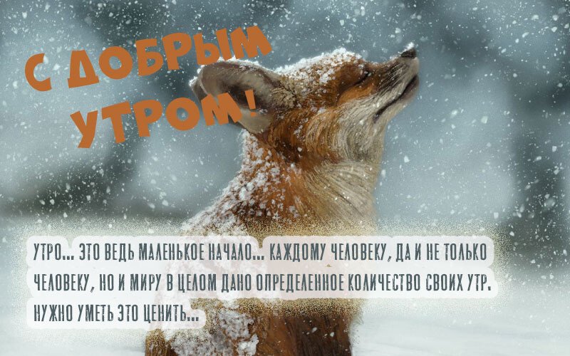 Листівки з добрим зимовим ранком, які можна скачати безкоштовно