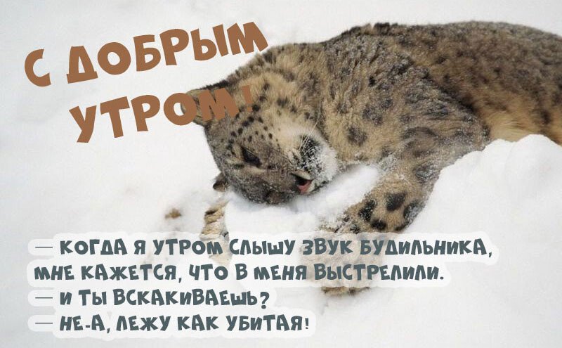 Листівки з добрим зимовим ранком, які можна скачати безкоштовно
