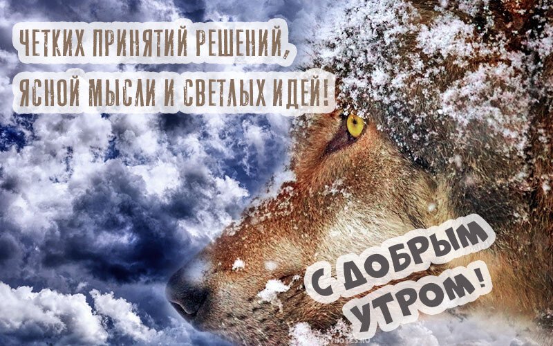 Листівки з добрим зимовим ранком, які можна скачати безкоштовно
