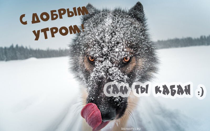 Листівки з добрим зимовим ранком, які можна скачати безкоштовно