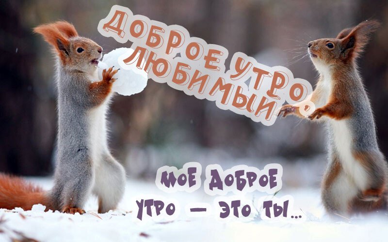 Листівки з добрим зимовим ранком, які можна скачати безкоштовно