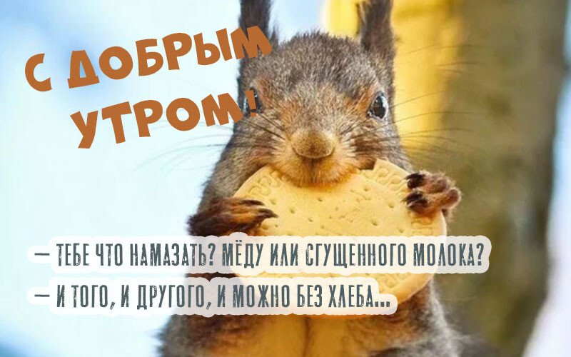Листівки з добрим зимовим ранком, які можна скачати безкоштовно