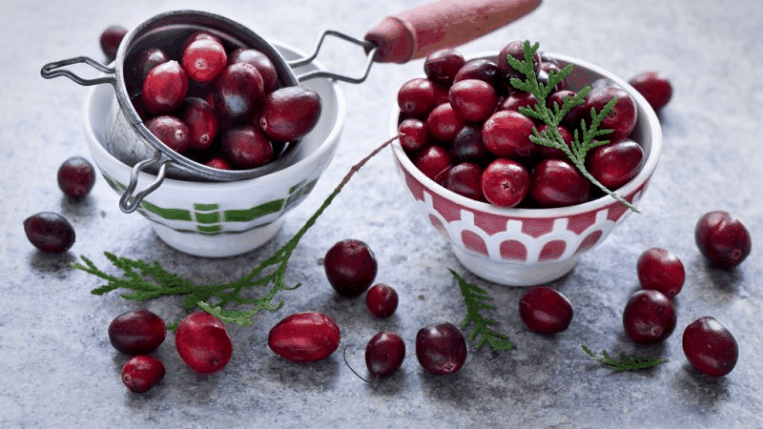 Що значить сон про журавлину – 36 різних трактувань