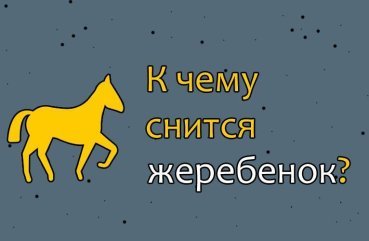 Що означає бачити уві сні лоша — тлумачення по сонникам 42 Що означає бачити уві сні лоша — тлумачення по сонникам 42
