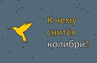 Як тлумачити сон про колібрі — значення по сонникам 34