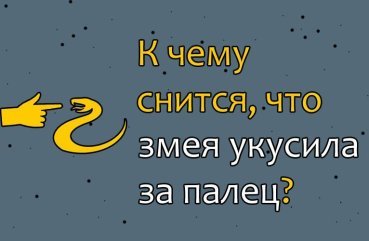 Як тлумачити сон, в якому змія вкусила за палець — 10 значень