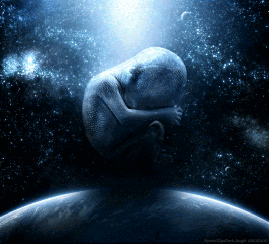 Як трактувати сон про зародок — 40 точних значень за різними сонникам