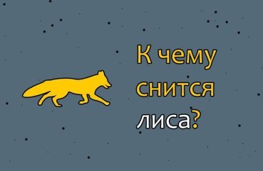 Як трактувати сон про лиса — 42 точних значення