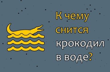 Що означає сон про крокодилах у воді — 42 значення Що означає сон про крокодилах у воді — 42 значення