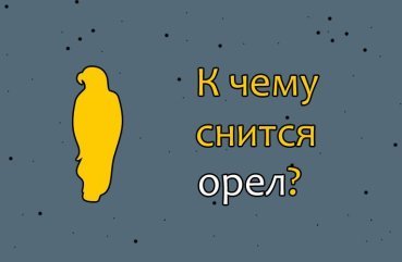 Як інтерпретувати сон про орла — 42 вірних значення