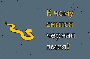 До чого сниться чорна змія — 42 докладних значення сну До чого сниться чорна змія — 42 докладних значення сну