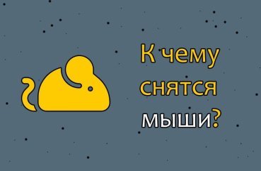 Як трактувати сон про мишей — 43 значення Як трактувати сон про мишей — 43 значення